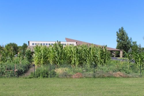 Garden plots are a community outreach