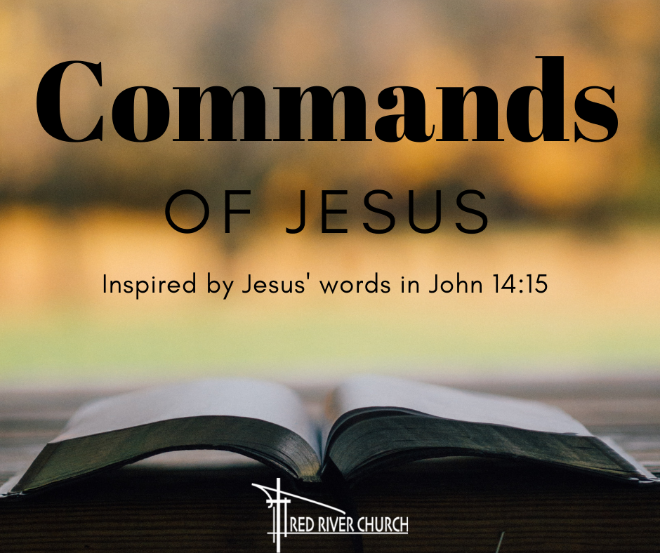 The Commands of Jesus: Government